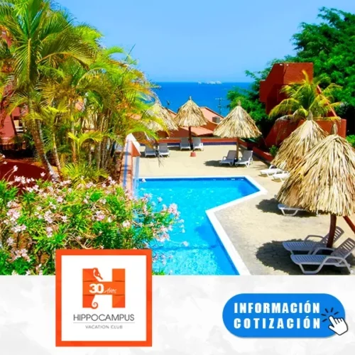 Hippocampus Hotel | Hoteles Alojamiento con Desayunos Económicos en Margarita | felizviaje.com